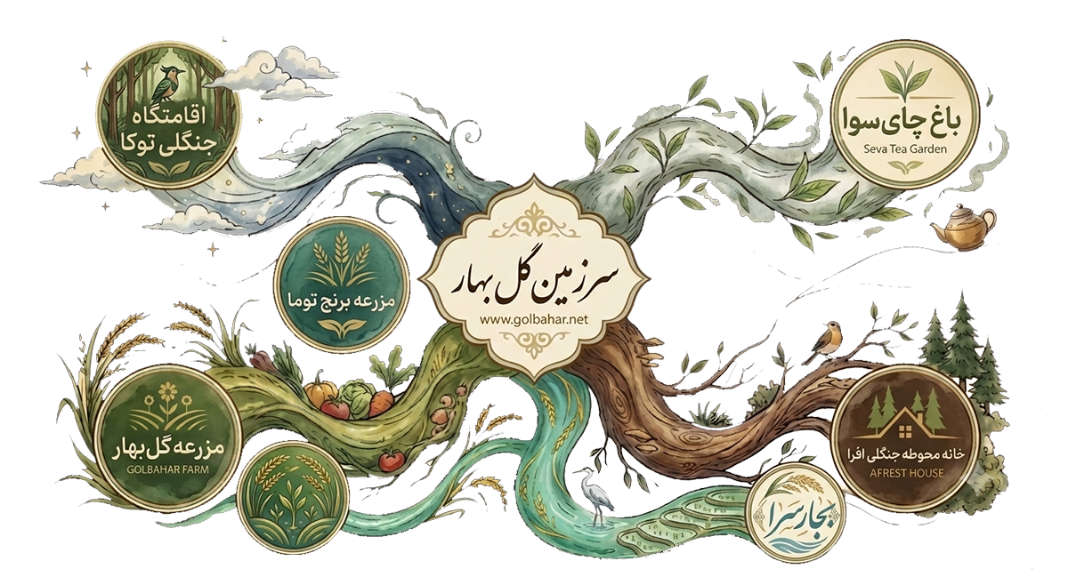 نقشه سرزمین گل بهار